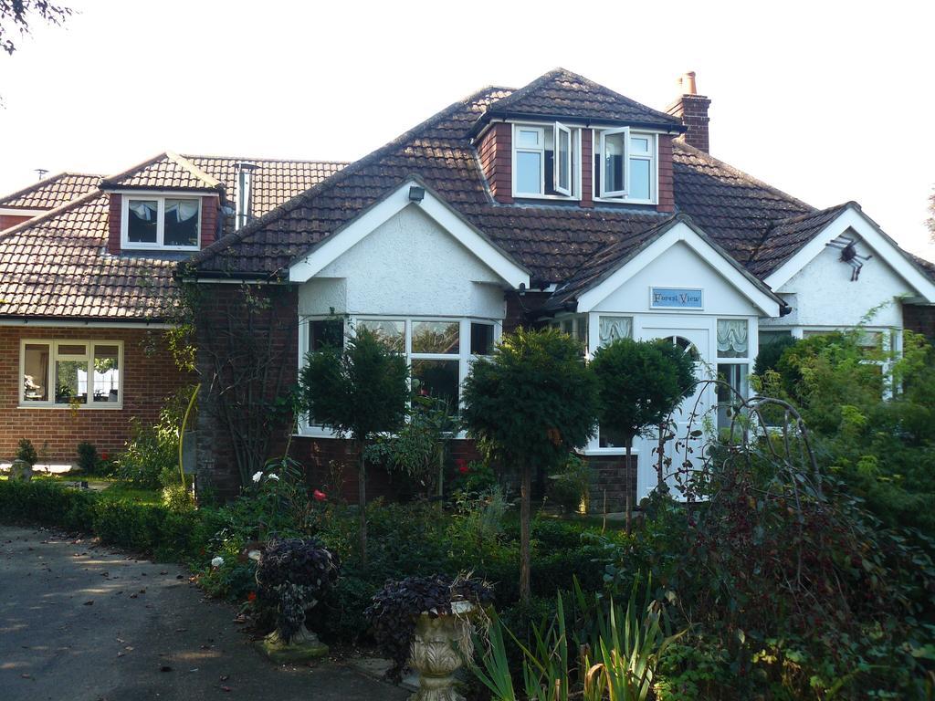 Forest View B&B Landford Bagian luar foto
