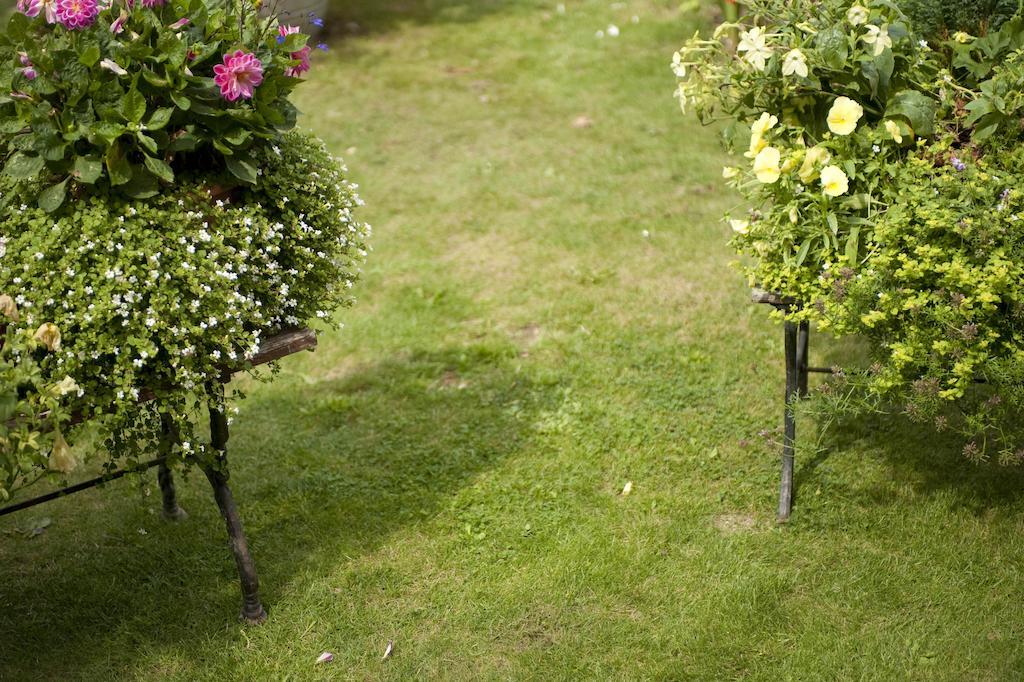 Forest View B&B Landford Bagian luar foto