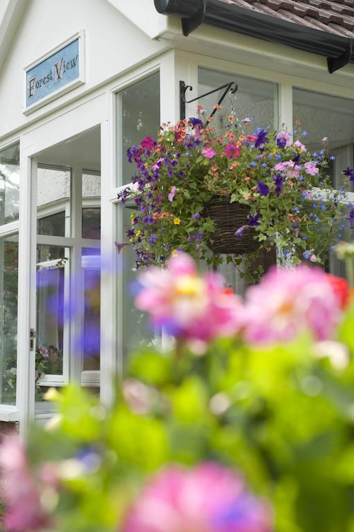 Forest View B&B Landford Bagian luar foto