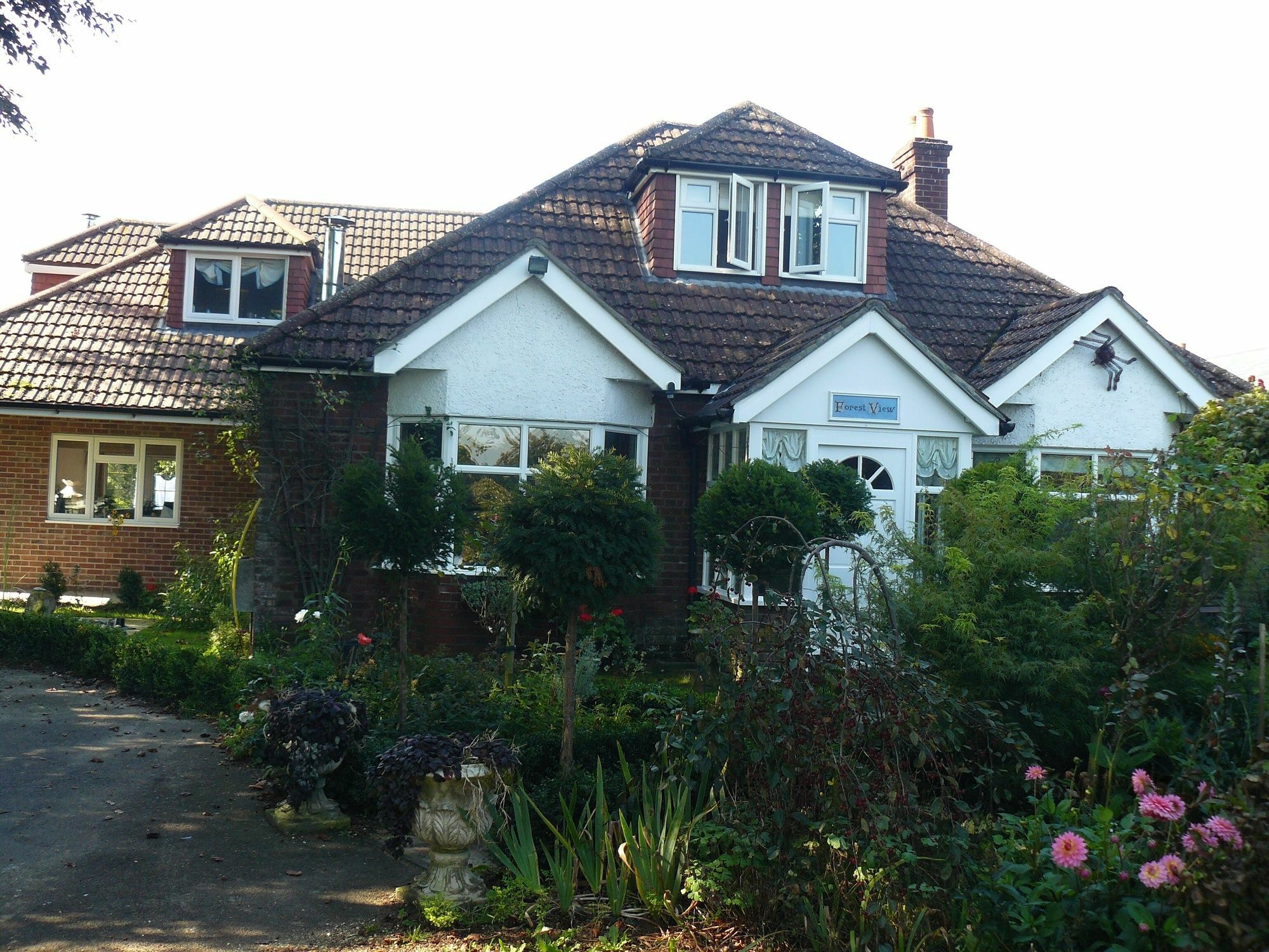 Forest View B&B Landford Bagian luar foto