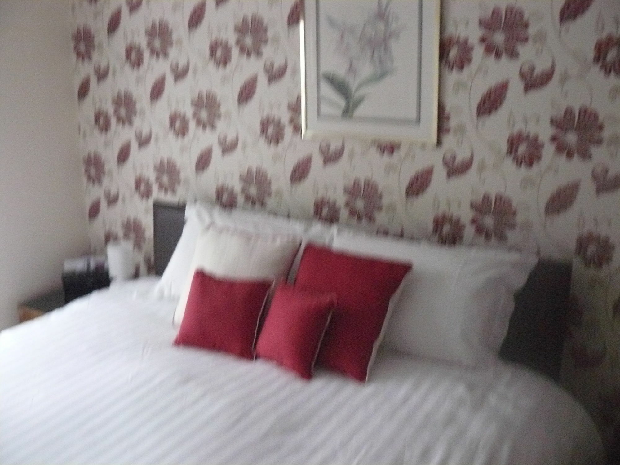 Forest View B&B Landford Bagian luar foto